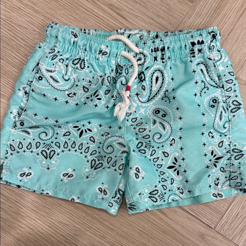 Earth Teal Patterned Shorts